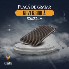 placa reversibila fonta