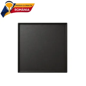 PLITĂ DIN FONTĂ NETEDĂ CU BORDURĂ 480 x 475 mm